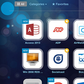 VMware Horizon Workspace Portal Apps published on the web